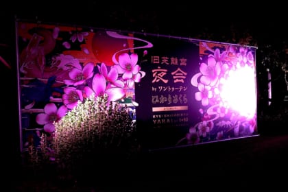旧芝離宮夜会 byワントゥーテン ～ひかりさくら～