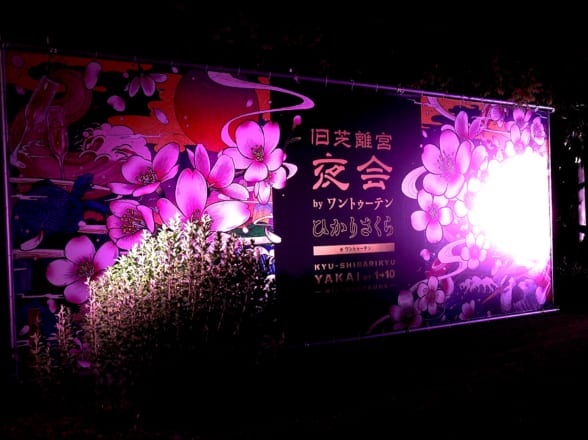 旧芝離宮夜会 by ワントゥーテン ~ひかりさくら~