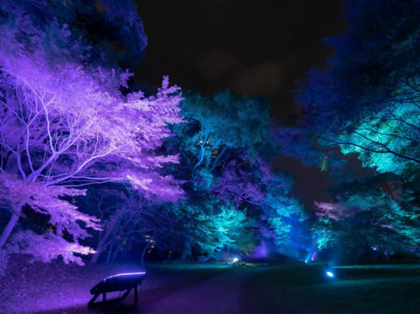 旧芝離宮夜会 by ワントゥーテン～かぜひかる～