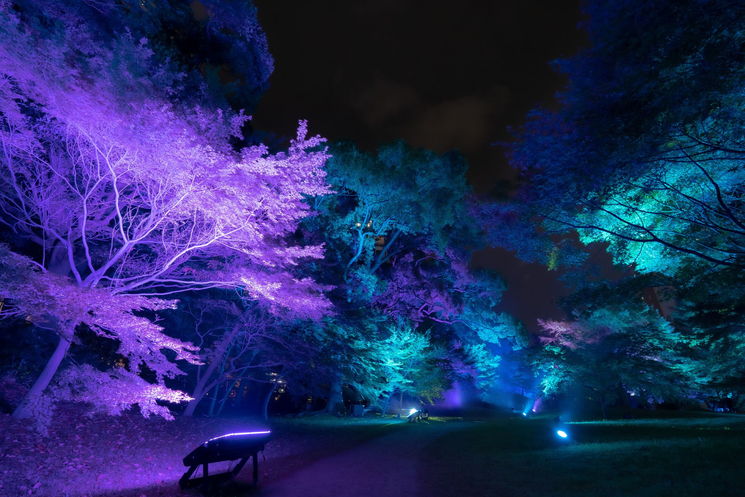 旧芝離宮夜会 by ワントゥーテン～かぜひかる～