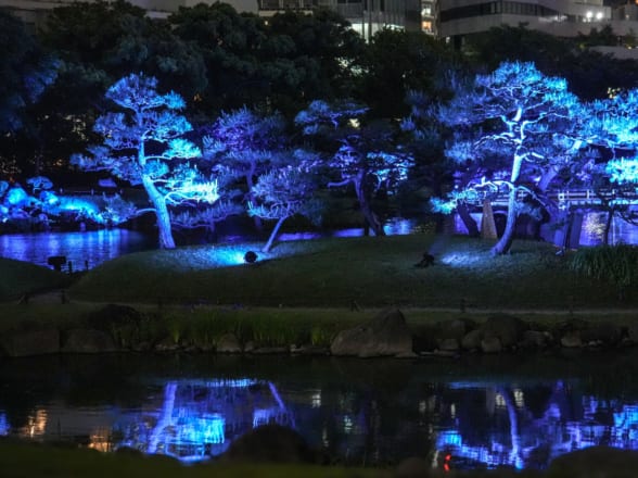 旧芝離宮夜会 by ワントゥテン ～ひかりめぐる庭～